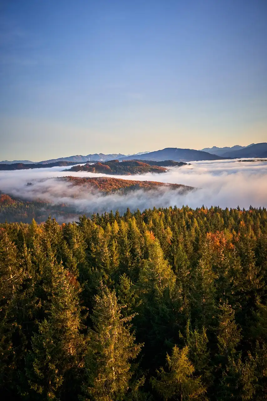Stunning aerial view of Austrian forests enveloped in clouds and vibrant autumn colors.
